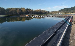 Gas Collection Pond Cover